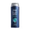 MANCODE Shampoo 2in1 Anti-Dandruff & ANTI FALL with Seaweed Nutrients 400ml  -Personal Care Product Store 5283004324531 MANCODESH400ML ANTI FALL